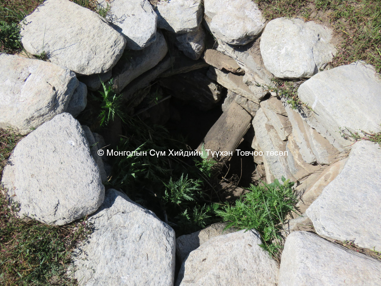 The temple well 